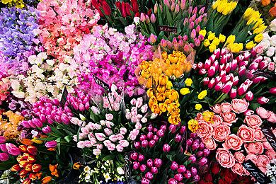 赛博风横板清关游戏《盲目命运:江户之弥》上线steam 明年第一季度发售