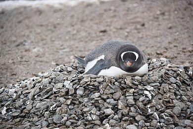 喋血街头开发团队嘲讽《星空》引擎没进步 并质疑30帧